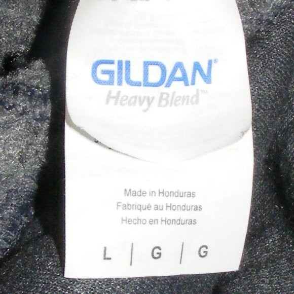 PANIC AT THE DISCO Hoodie Sweatshirt, L, Pray for the Wicked, Gray - Picture 9 of 11